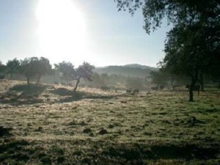 CAMPO 01